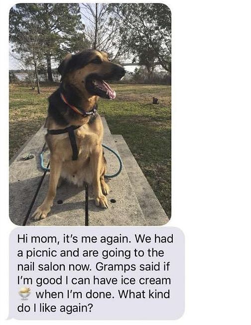 女儿出差时把狗子交给爸爸养，却意外收到了这样的短信…… - 3