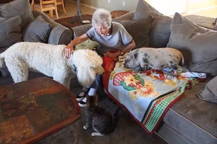90岁奶奶患癌放弃治疗，选择带狗旅行度余生 - 8