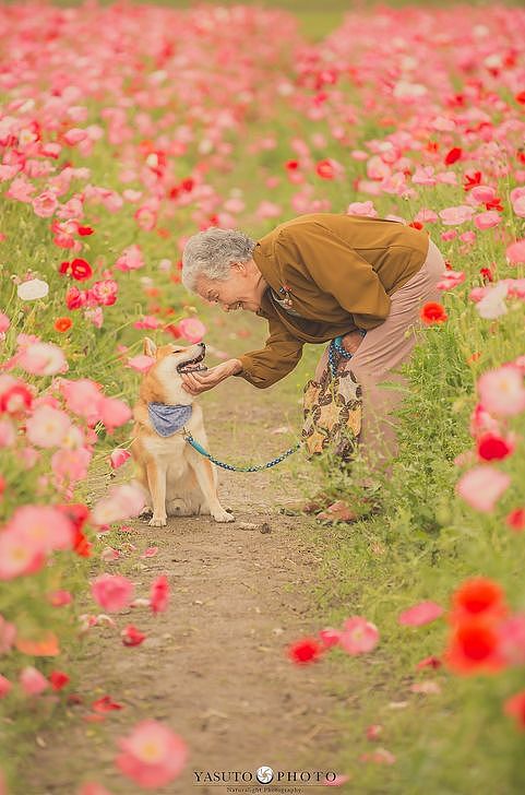 日本小哥抓拍奶奶和狗狗的照片，第一张就被暖哭了… - 8