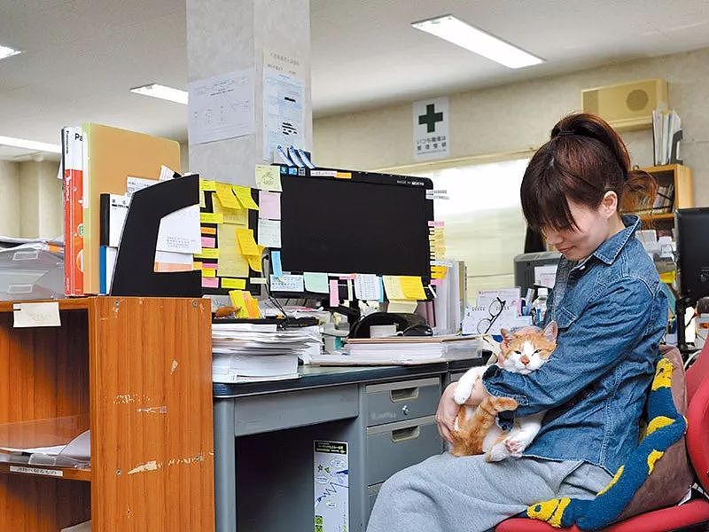 日本一只橘猫由于妨害公务罪，惨遭逮捕，目前情绪稳定！ - 18