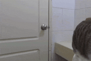 这只猫聪明，不仅会开门，还会在开门前调整下监控镜头，笑屎... - 1