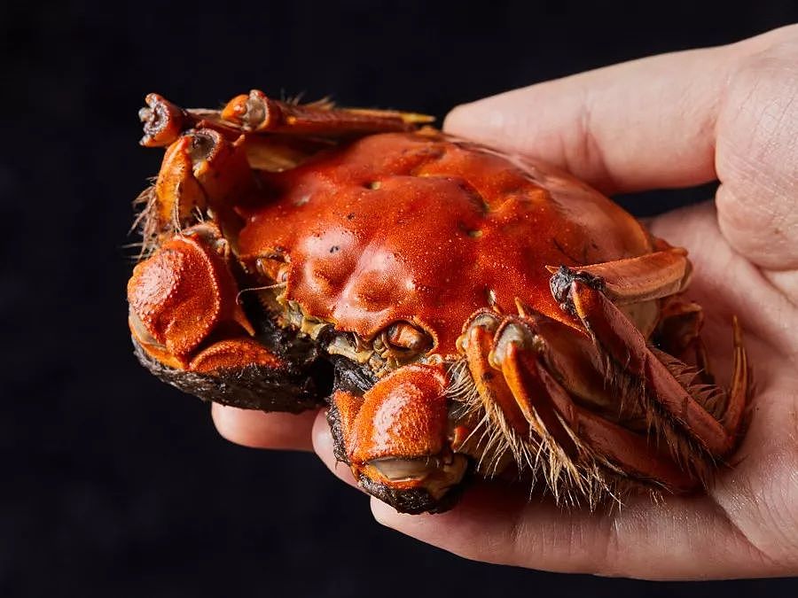20年陈年花雕、18种秘制香料，这个大闸蟹好吃到舔手指！ - 7