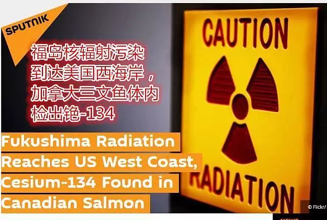 日本承认：112万吨核废水倒入太平洋！核辐射全球蔓延，祸及全人类！ - 25