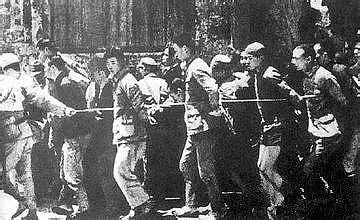 被抓到日本的中国劳工逃入深山，被发现时才知道日本已经投降13年 - 2