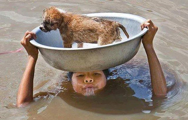 寿光洪水，这位男子带出来的唯一“财产”，是他的狗狗 - 5
