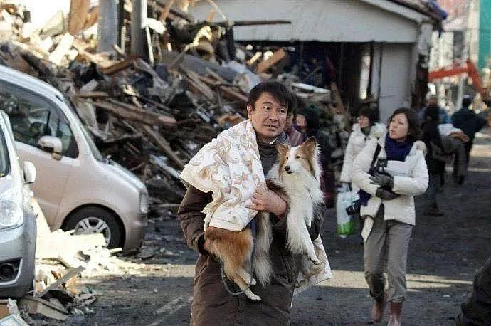 地震时我抢救出来的唯一财产，是狗... - 14