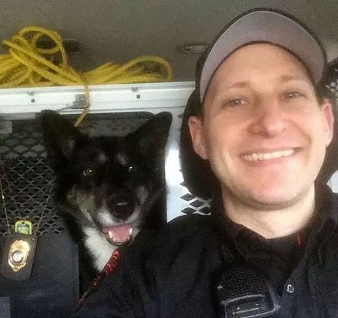 训犬师8年前救过的一条狗，在8年后，它竟救了自己的儿子... - 3