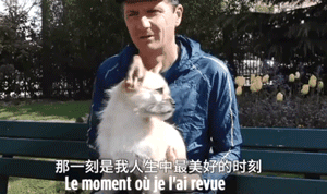 中国流浪狗跨国参加巴黎马拉松：它通过奔跑改变了命运 - 5