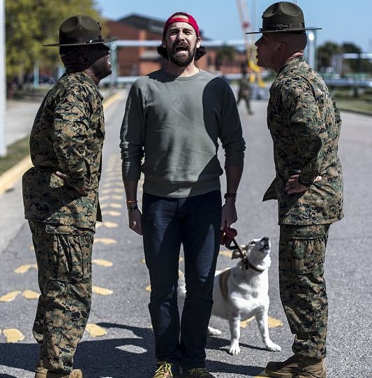 士兵从战场上救了1只流浪狗，后来才发现，救的原来是自己 - 20
