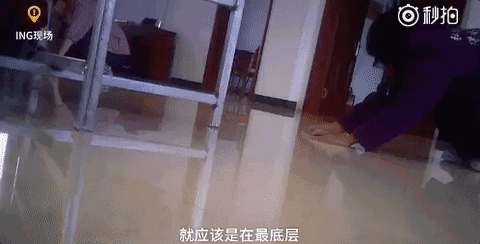 澳媒曝光：一中国女子下跪磕头：“爸妈我错了，以后不看黄色视频了！”更多奇葩言论引争议！“澳网友：“快引进澳洲吧！” - 15