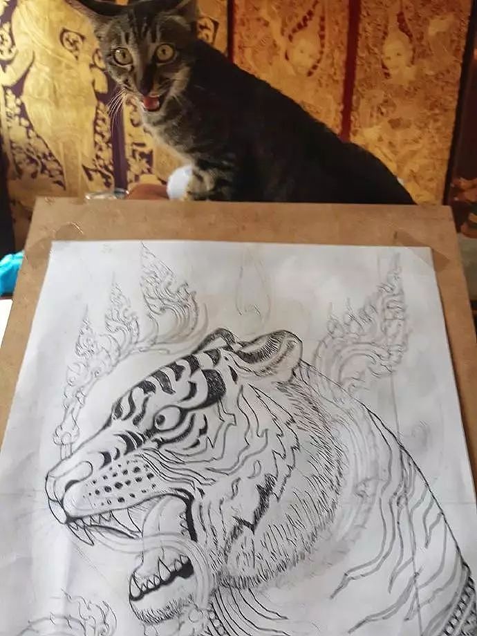 主人照着猫画画，却偷偷画了只老虎，猫看到后的表情，笑喷了！ - 3