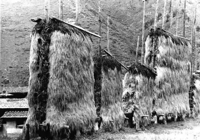 1938年，希特勒派人到西藏寻找日耳曼人祖先，留下了这组珍贵照片 - 7
