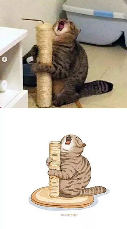 这位画师把网上的沙雕猫猫图，画成了插画，这画风也太可爱了！ - 21
