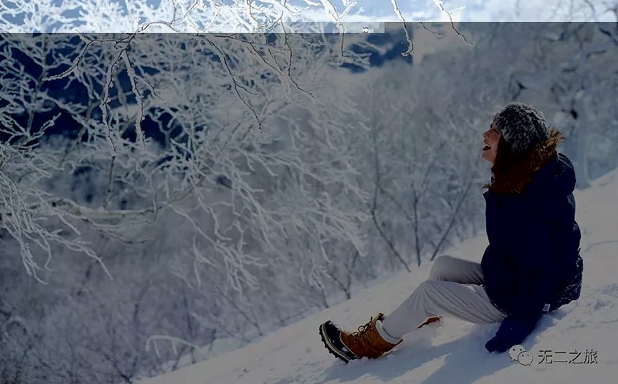 北海道的雪地里，藏着一帮大明星 - 12