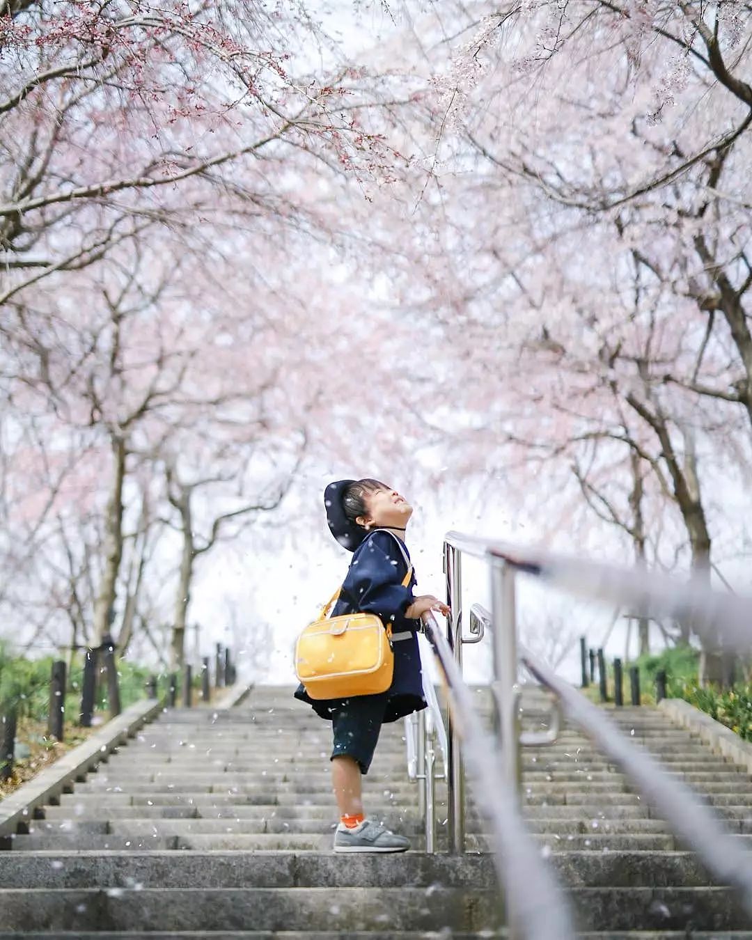 日本妈妈偷拍樱花树下的儿子，美成宫崎骏童话，治愈无数人 - 7
