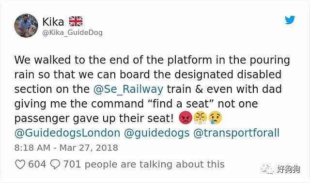 地铁上是否该为导盲犬和它的主人让座，英国网友的讨论炸开了锅！ - 6