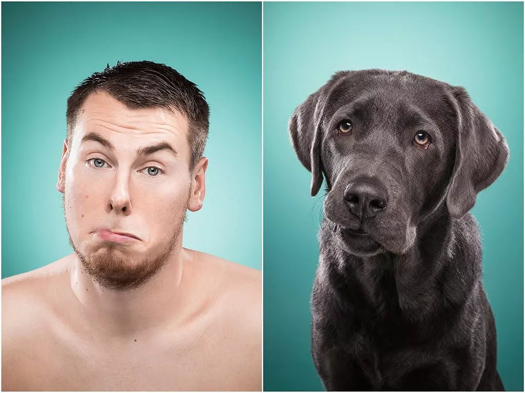 摄影师镜头下的惊叹时刻：你和你家狗真的很像！ - 36
