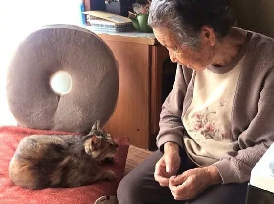 93岁的老奶奶，每天还在编织杯垫卖，只为给流浪猫换猫粮钱！ - 3