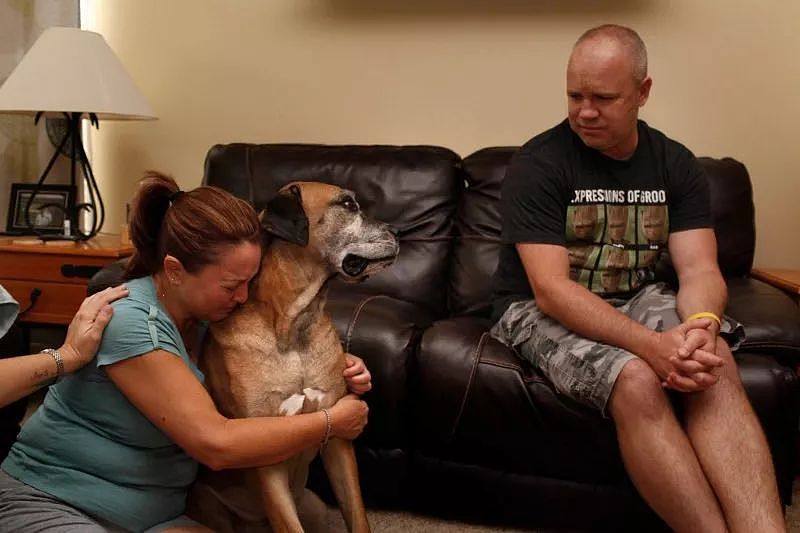 消防员11年前救出的狗在怀中去世：爱和失去总是手牵着手…… - 18