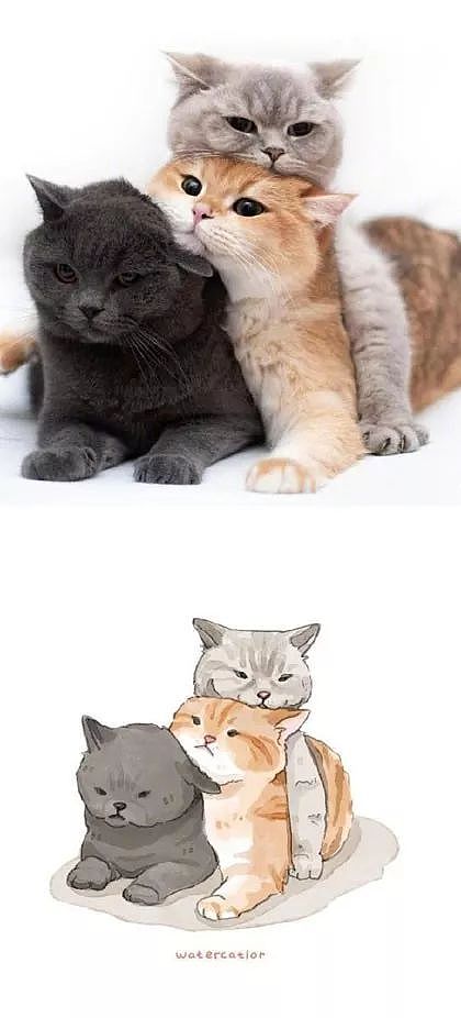 这位画师把网上的沙雕猫猫图，画成了插画，这画风也太可爱了！ - 6