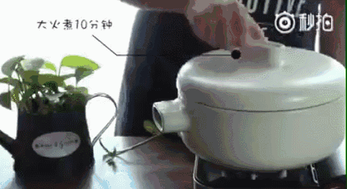 OMG | 绿豆汤到底是红是绿？吃货们真的很爱吵 - 21