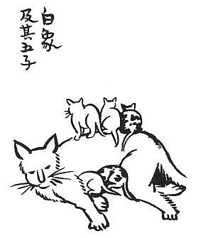 故宫猫走红：猫活出了人类该有的样子 - 15