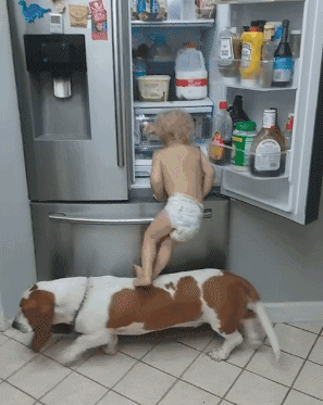 宝宝和狗子合伙开冰箱偷吃，结果惨遭背叛！ - 6