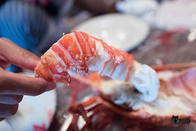 猫本吃货 | 悉尼超火爆餐厅Lobster Shack在墨尔本试营业三周！跟着吃货姐在圣诞节$50享受龙虾盛宴！ - 8