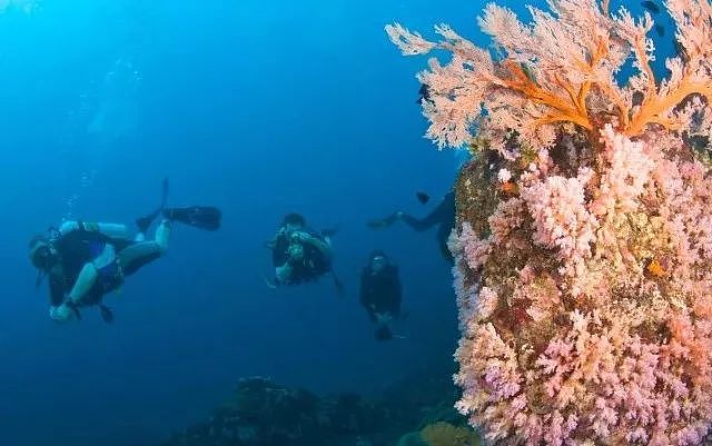 一年仅开放150天！泰国唯一敢叫板马代的潜水圣地，又开岛了！ - 23