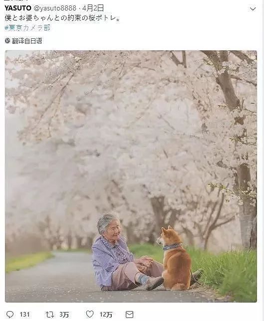 日本小哥抓拍奶奶和狗狗的照片，第一张就被暖哭了… - 7