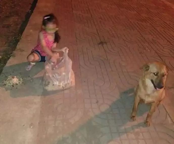 小女孩扛食物喂街边流浪狗，为表示感谢，狗狗每天护送她回家！ - 3