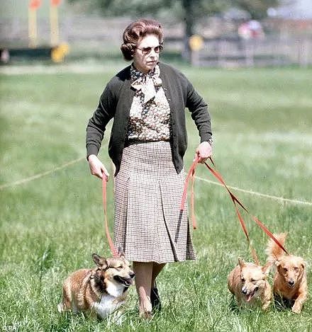 英国女王的最后一只柯基去世，她决定不再养狗..... - 3