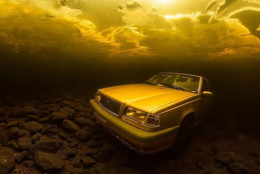 2018年水下摄影师大赛的获奖作品，带你进入一个水下世界 - 7