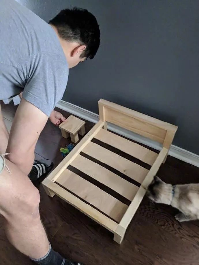 男主给猫做了张迷你小木床，还有床头柜，猫看后直接上去睡了！ - 1