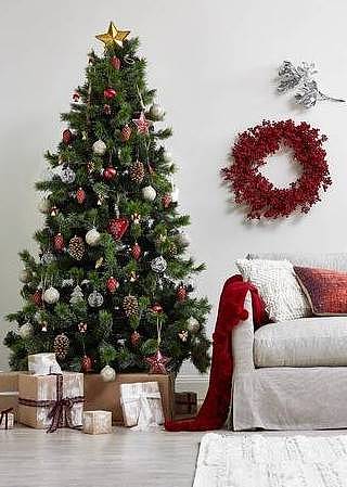 你家的圣诞树亮起来了吗？看看澳洲哪里可以买到你最中意的圣诞树！ - 30