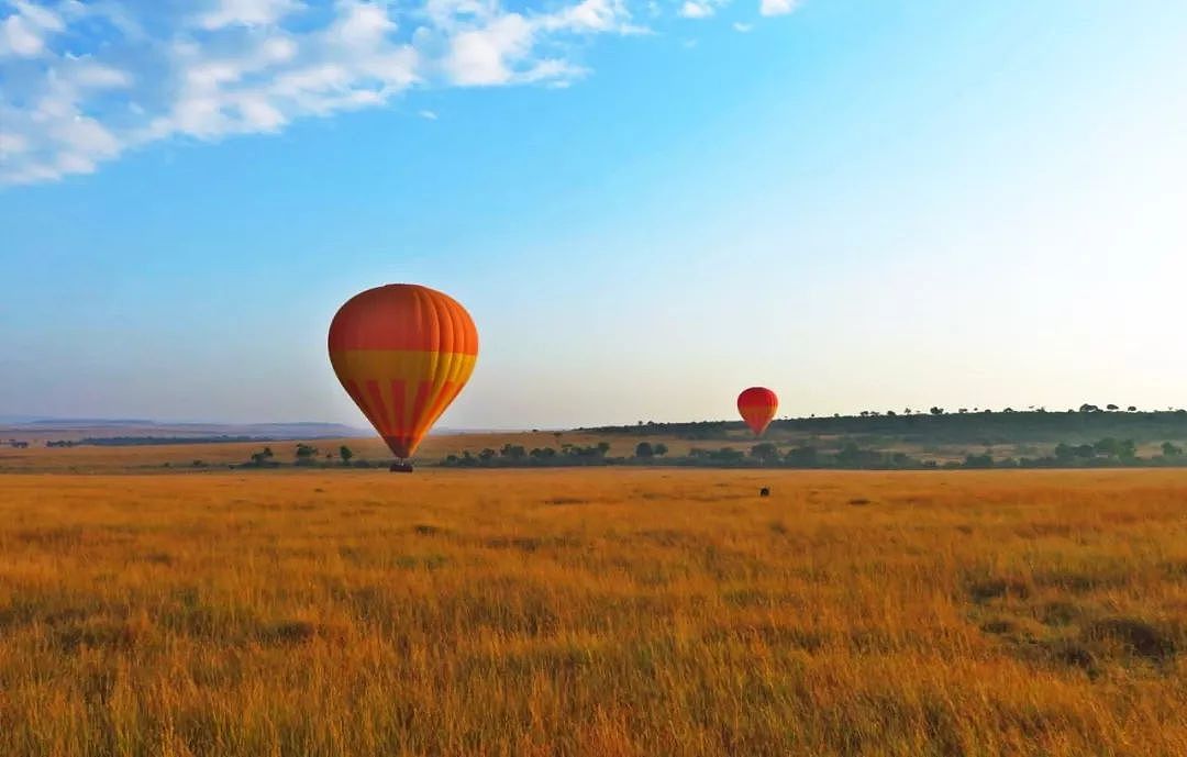 肯尼亚+坦桑尼亚，春节远走东非开启Safari之旅！ - 3