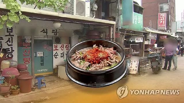 韩国最大狗肉市场要关闭了，超过80只狗狗从市场获救… - 2