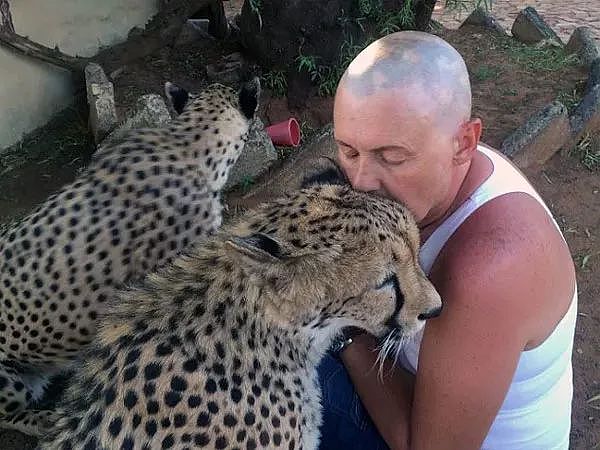 南非女子身患绝症，她养的一只大猫看见刚出院的她竟然... - 4
