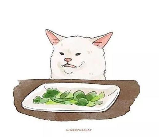 笑飞，满脸写着抗拒的猫，因一张表情包爆红：我就是不！吃！菜！ - 7
