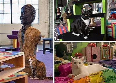 伍斯特艺术博物馆举办了一场“灵感来源于猫”的展览，里面的猫... - 4