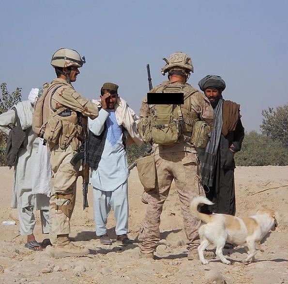 士兵从战场上救了1只流浪狗，后来才发现，救的原来是自己 - 5