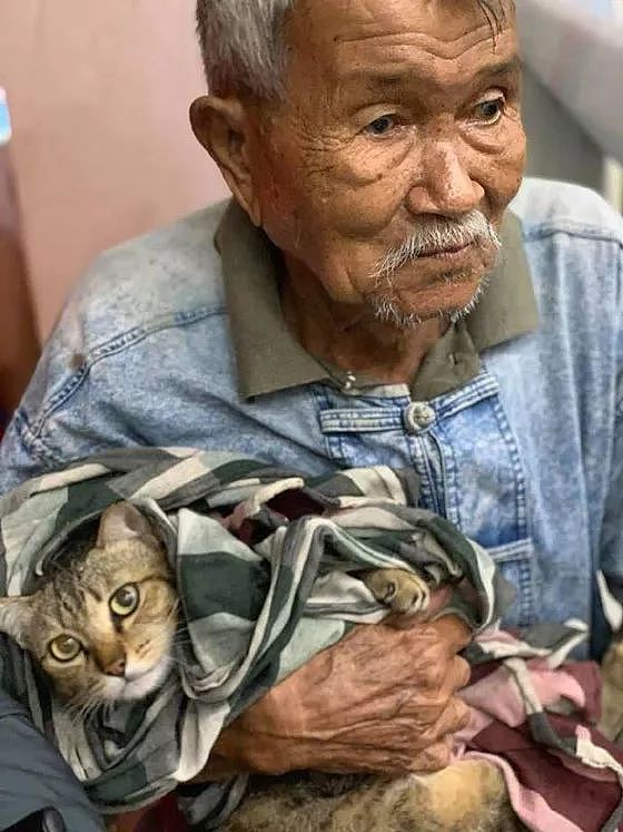 网友拍到这一幕，一老爷爷抱着一只猫，这和谐的面面让人好暖... - 3