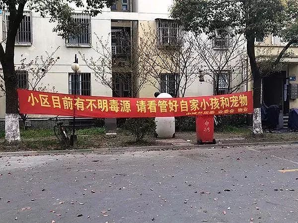 上海连环毒狗案告破，凶手竟然只有15岁！ - 9