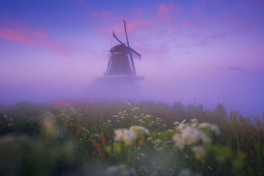 荷兰起雾的时候，很多地方变成了童话场景 - 3