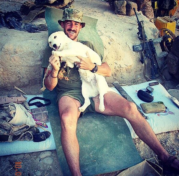 士兵从战场上救了1只流浪狗，后来才发现，救的原来是自己 - 4