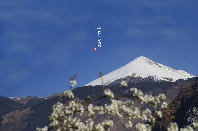 四川有个世界罕见的古梨仙境，一下梨花雪，就惊艳了整个春天！ - 13