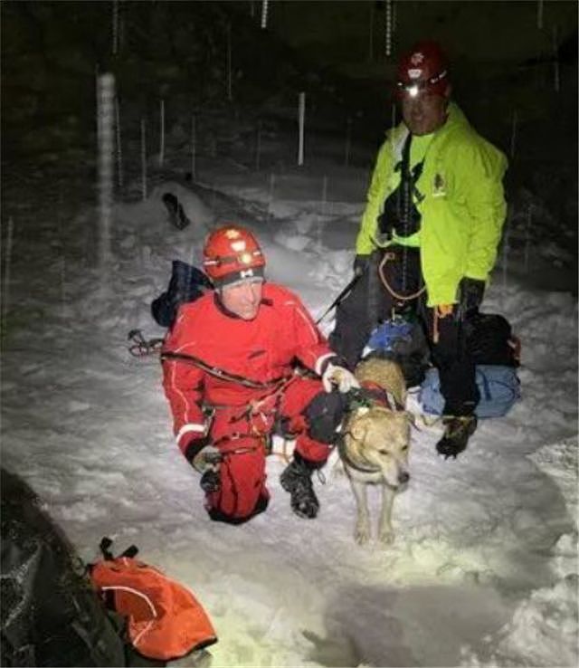 掉落12米深的冰隙中，狗狗还能生还吗？ - 4