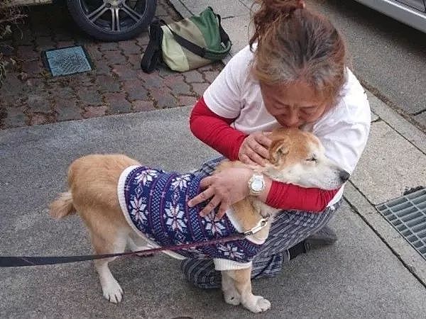 从地震中救出1400只狗狗的她，8年后重遇被救柴犬... - 7