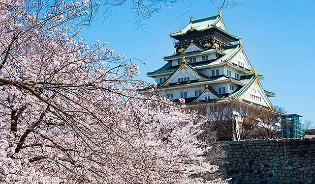 日本樱花季最强攻略，美景美食一览，再不看就没机会啦！ - 9