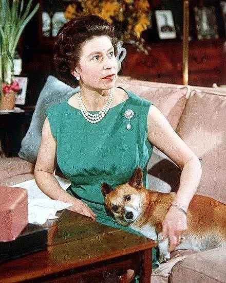 英国女王的最后一只柯基去世，她决定不再养狗..... - 6